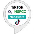 netaware tiktok